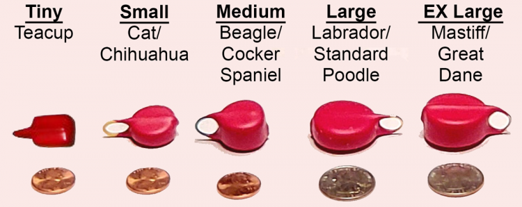 Pet Tag Sizes